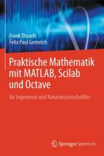 Praktische Mathematik mit MATLAB, Scilab und Octave af Frank Thuselt