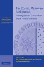 The Cosmic Microwave Background
