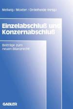 Einzelabschluss und Konzernabschluss