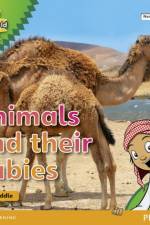 My Gulf World and Me Level 2 non-fiction reader: Animals and their babies af Kate Riddle