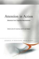 Attention in Action