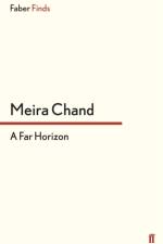 A Far Horizon