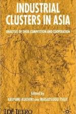 Industrial Clusters in Asia