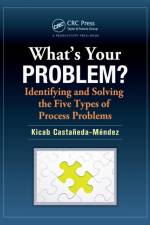 What's Your Problem? Identifying and Solving the Five Types of Process Problems af Kicab Castaneda-Mendez