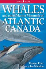 Whales and Other Marine Mammals of Atlantic Canada af Tamara Eder
