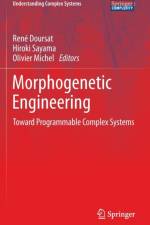 Morphogenetic Engineering