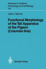 Functional Morphology of the Tail Apparatus of the Pigeon (Columba livia) af Julian J. Baumel
