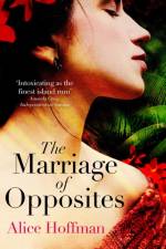 Marriage of Opposites