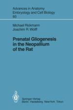Prenatal Gliogenesis in the Neopallium of the Rat af Michael Rickmann