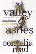 Valley of Ashes