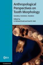 Anthropological Perspectives on Tooth Morphology