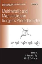 Multimetallic and Macromolecular Inorganic Photochemistry