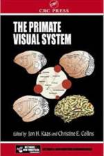 The Primate Visual System