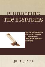 Plundering the Egyptians af John J. Yeo
