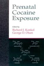 Prenatal Cocaine Exposure af Richard J. Konkol