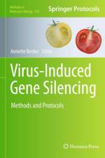 Virus-Induced Gene Silencing