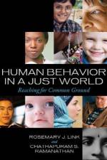 Human Behavior in a Just World af Rosemary J. Link