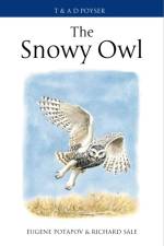 The Snowy Owl af Eugene Potapov