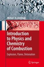 Introduction to Physics and Chemistry of Combustion af Michael A. Liberman
