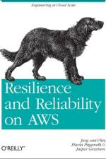 Resilience and Reliability on AWS af Jurg Van Fliet