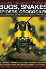 Explore the Deadly World of Bugs, Snakes, Spiders, Crocodiles af Barbara Taylor