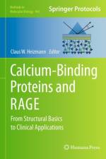 Calcium-Binding Proteins and RAGE