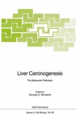 Liver Carcinogenesis