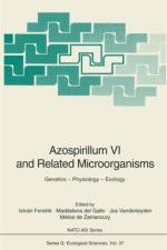 Azospirillum VI and Related Microorganisms