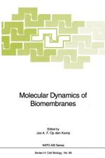 Molecular Dynamics of Biomembranes