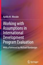 Working with Assumptions in International Development Program Evaluation af Apollo M. Nkwake