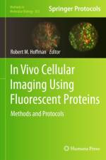 In Vivo Cellular Imaging Using Fluorescent Proteins