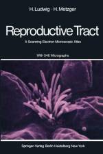 Human Female Reproductive Tract af H. Ludwig