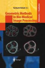 Geometric Methods in Bio-Medical Image Processing