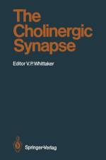 Cholinergic Synapse