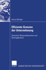 Effiziente Grenzen der Unternehmung af Ulrich Winkler