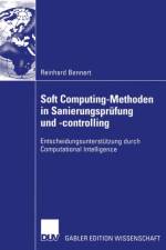 Soft Computing-Methoden in Sanierungsprufung Und -controlling af Reinhard Bennert