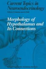 Morphology of Hypothalamus and Its Connections