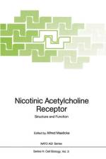 Nicotinic Acetylcholine Receptor