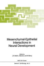 Mesenchymal-Epithelial Interactions in Neural Development