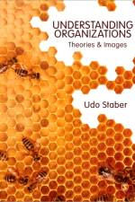 Understanding Organizations af Udo Staber
