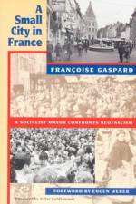A Small City in France af Francoise Gaspard