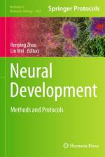Neural Development