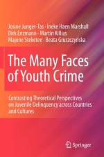 The Many Faces of Youth Crime