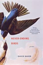 Never-Ending Birds af David (Denison University) Baker