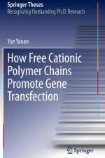 How Free Cationic Polymer Chains Promote Gene Transfection af Yue Yanan