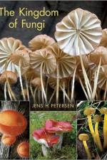 The Kingdom of Fungi