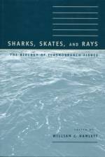 Sharks, Skates, and Rays