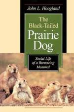 The Black-Tailed Prairie Dog af John L. Hoogland