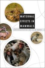 Maternal Effects in Mammals af Dario Maestripieri
