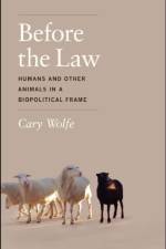 Before the Law